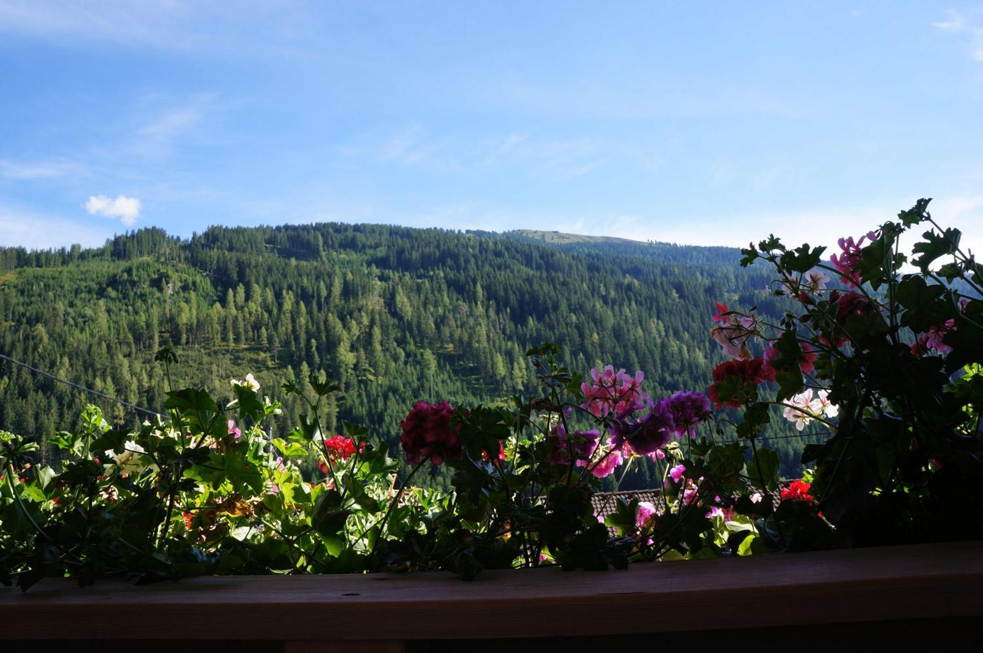 Haus Dorfblick Otel Gerlos Dış mekan fotoğraf